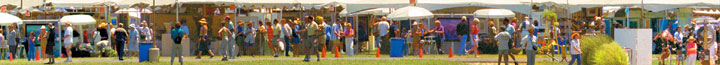 marin art festival panorama