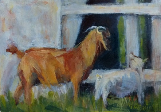 Ewe and kid goats looking in barn