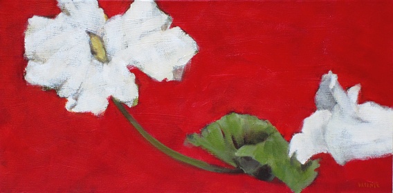 white flower horizontal on red background