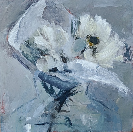 white daisies in tissue in vase