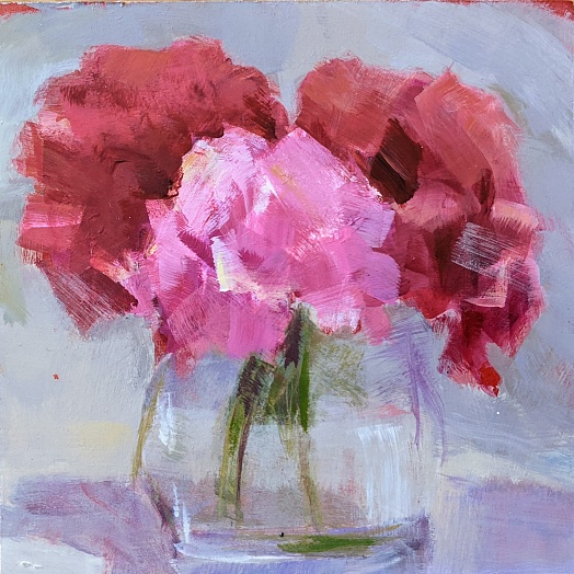 Pink and red hydrangeas