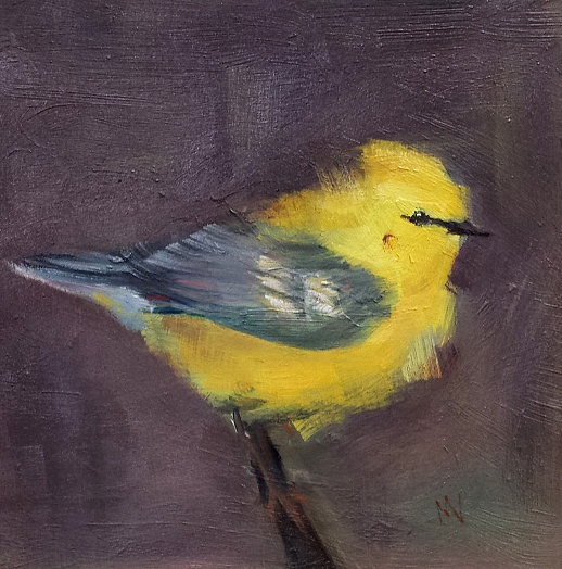 small blue-gray winged bird with yellow face