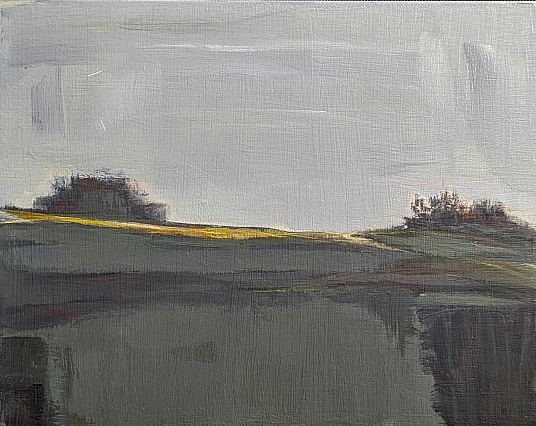 Mendocino Fog bluffs landscape thin gold road dark fields