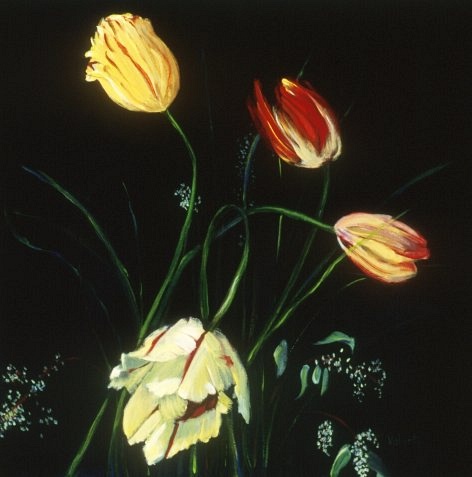 parrot and other tulips